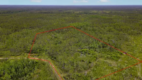 Tract 82 Circle Block Loop, Perry, FL 32348 photo 4