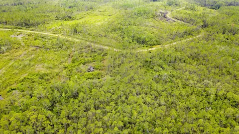 Tract 82 Circle Block Loop, Perry, FL 32348