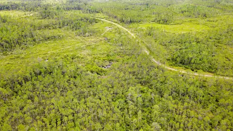 Tract 82 Circle Block Loop, Perry, FL 32348 photo 13