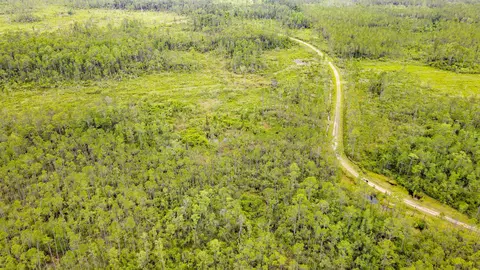 Tract 82 Circle Block Loop, Perry, FL 32348 photo 14