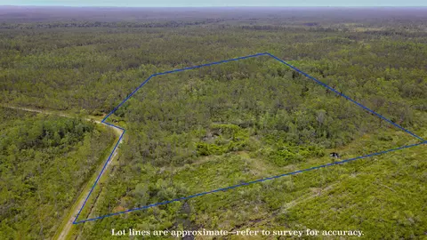 Tract 82 Circle Block Loop, Perry, FL 32348 photo 6