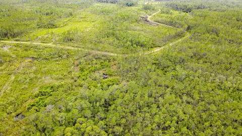 Tract 82 Circle Block Loop, Perry, FL 32348 photo 11
