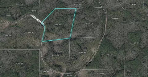 Tract 82 Circle Block Loop, Perry, FL 32348 photo 18
