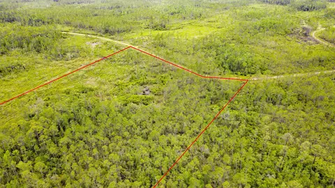 Tract 82 Circle Block Loop, Perry, FL 32348 photo 12
