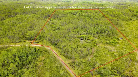 Tract 82 Circle Block Loop, Perry, FL 32348 photo 3