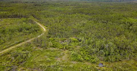 Tract 82 Circle Block Loop, Perry, FL 32348 photo 8