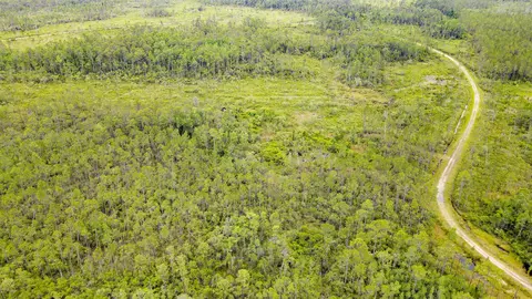 Tract 82 Circle Block Loop, Perry, FL 32348 photo 15