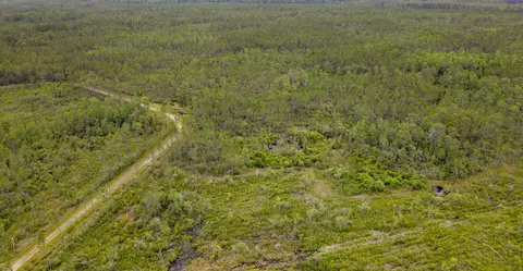 Tract 82 Circle Block Loop, Perry, FL 32348 photo 7