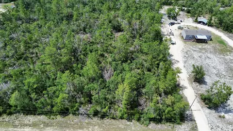 0 Stricklands Bridge Rd, Perry, FL 32348 photo 2