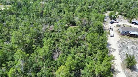 0 Stricklands Bridge Rd, Perry, FL 32348 photo 9