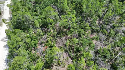 0 Stricklands Bridge Rd, Perry, FL 32348 photo 8