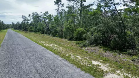 0 Stricklands Bridge Rd, Perry, FL 32348 photo 13