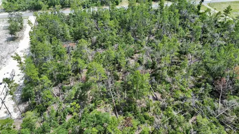 0 Stricklands Bridge Rd, Perry, FL 32348 photo 7