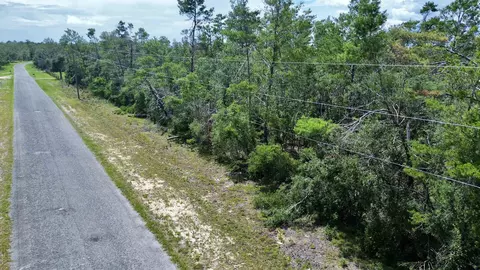 0 Stricklands Bridge Rd, Perry, FL 32348 photo 12