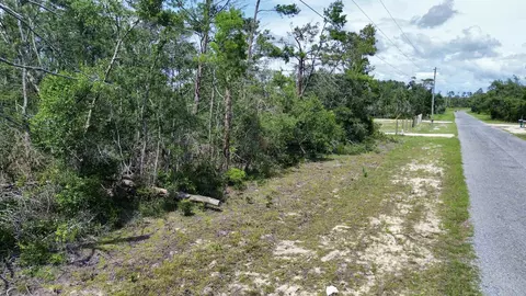 0 Stricklands Bridge Rd, Perry, FL 32348 photo 14