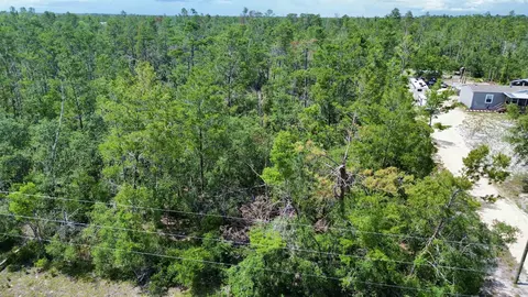 0 Stricklands Bridge Rd, Perry, FL 32348 photo 11