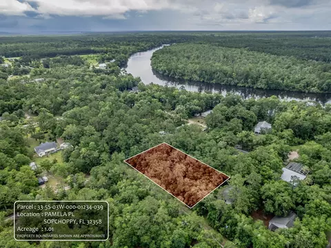 Nn Pamela Place, Sopchoppy, FL 32358
