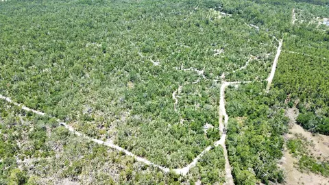 00 Clearwater Creek Ln, Perry, FL 32348