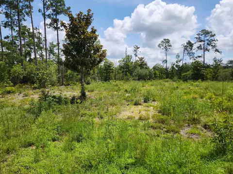 Nnn Hwy 20, Other Florida, FL 32446