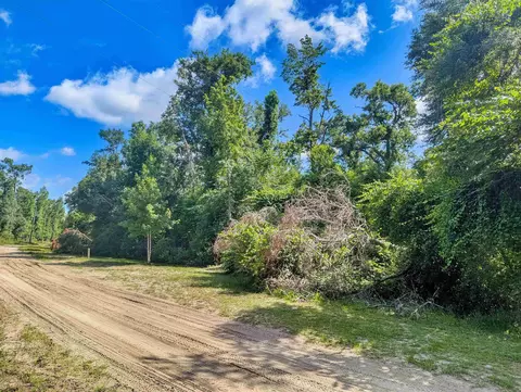 NE River Ridge Way, Lee, FL 32059 photo 3