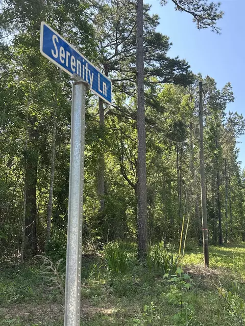 nnn Serenity 10 Acres Lane #-, Quincy, FL 32351