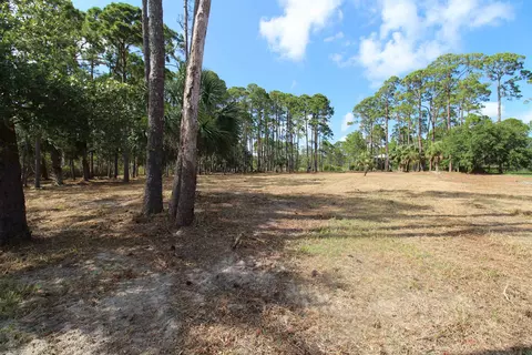 2620 Surf Rd, Panacea, FL 32346 photo 17