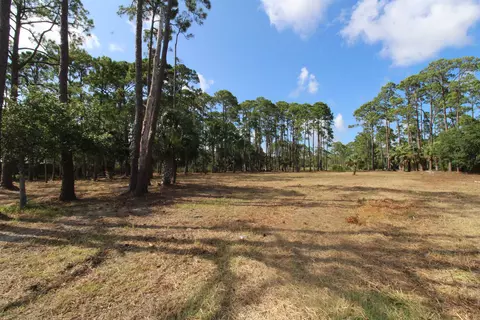 2620 Surf Rd, Panacea, FL 32346 photo 15