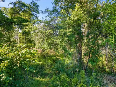 2971 E Us 27, Perry, FL 32347 photo 10