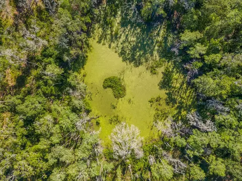 2971 E Us 27, Perry, FL 32347 photo 7