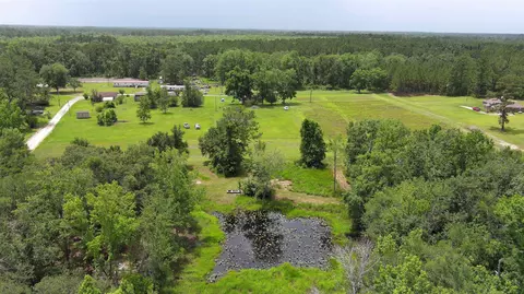 983 Mays Rd, Lamont, FL 32336 photo 9