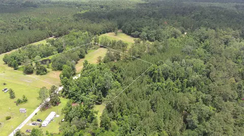 983 Mays Rd, Lamont, FL 32336 photo 10