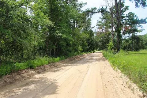 983 Mays Rd, Lamont, FL 32336 photo 14