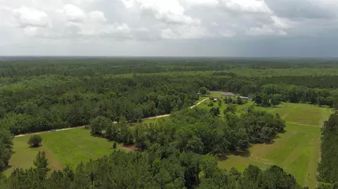 983 Mays Rd, Lamont, FL 32336 photo 13