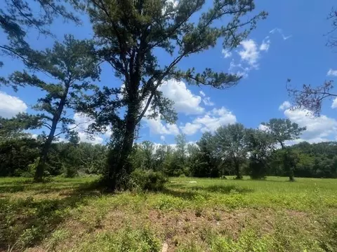 983 Mays Rd, Lamont, FL 32336 photo 17