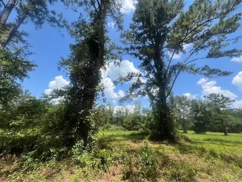 983 Mays Rd, Lamont, FL 32336 photo 16