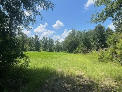 983 Mays Rd, Lamont, FL 32336 photo 28