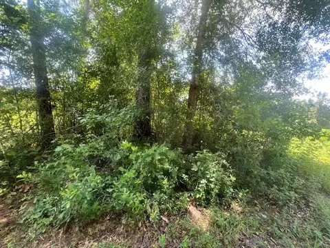 983 Mays Rd, Lamont, FL 32336 photo 22