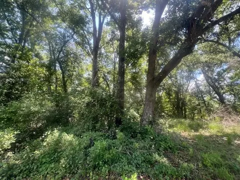 983 Mays Rd, Lamont, FL 32336 photo 25