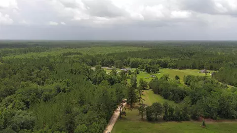 983 Mays Rd, Lamont, FL 32336 photo 11