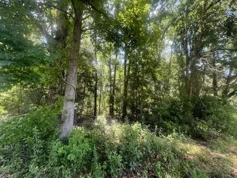 983 Mays Rd, Lamont, FL 32336 photo 24