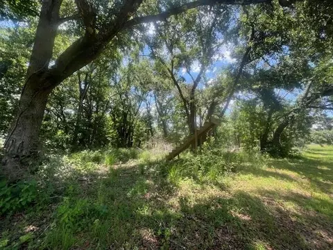 983 Mays Rd, Lamont, FL 32336 photo 26