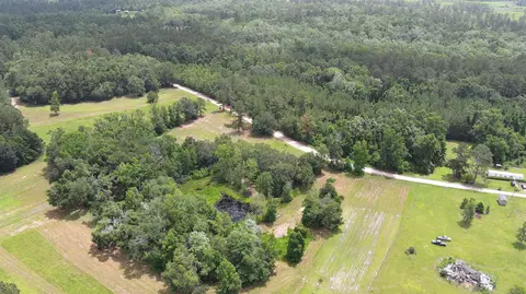 983 Mays Rd, Lamont, FL 32336 photo 7