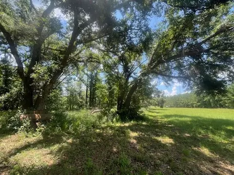 983 Mays Rd, Lamont, FL 32336 photo 27
