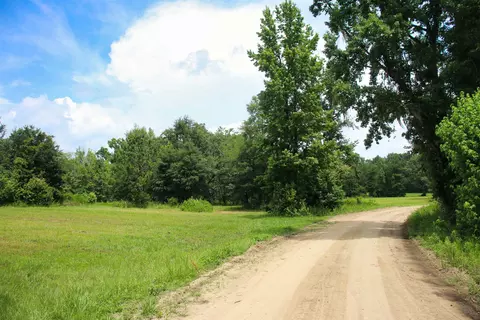 983 Mays Rd, Lamont, FL 32336 photo 4