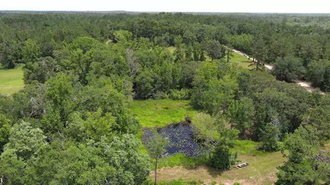 983 Mays Rd, Lamont, FL 32336 photo 8