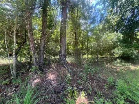 983 Mays Rd, Lamont, FL 32336 photo 20