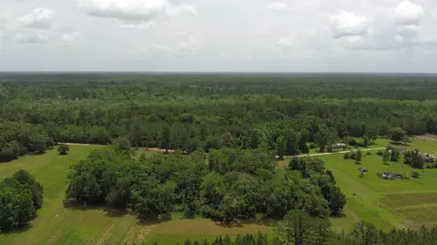 983 Mays Rd, Lamont, FL 32336 photo 12