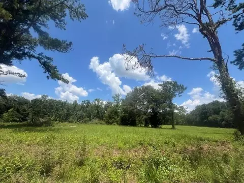 983 Mays Rd, Lamont, FL 32336 photo 18