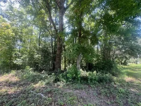 983 Mays Rd, Lamont, FL 32336 photo 23