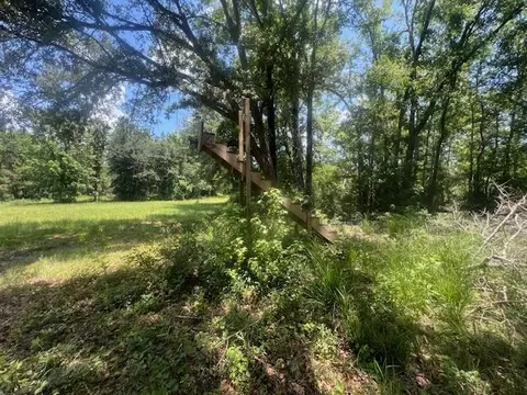 983 Mays Rd, Lamont, FL 32336 photo 29